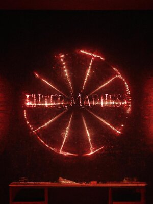 cover image of Enter Madness